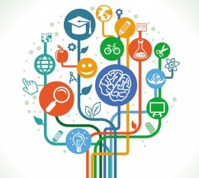 Soyez curieux et découvrez notre nouvelle offre de formation !