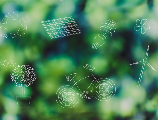 Nouveau souffle pour le label « Développement durable, le sport s’engage® » du CNOSF
