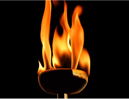 Le relais de la flamme olympique dans le Grand Est