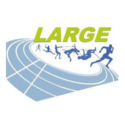 Ligue d'Athlétisme Régionale du Grand Est